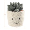 Apricot Lamb Soft Succulent Plant Plush Toy, Stuffed Green Pot,