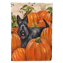 Caroline's Treasures PPP3168GF Scottish Terrier Scottie Pumpkins Garden Flag Mailbox Flag Decorative Yard Flag Banner Outside Patio Artwork Yard Flower Beds, Garden Size, Multicolor