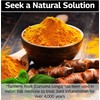 Indian Curcumin: Joint Recovery | Turmeric, Tamarind Seeds, Boswellia and