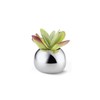 Philippi Bella Vase Small, Stainless Steel, Silver, 16 x 16