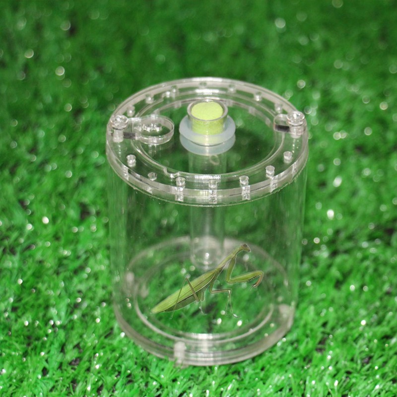Acrylic Transparent Reptiles Insects Feeding Living Box Mantis Beetle Cultivate