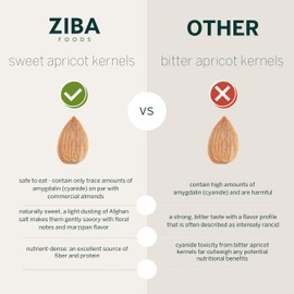 Ziba Foods Wild Grown Sweet Apricot Kernels | Non-GMO, Vegan, Whole 30 Friendly & Keto, Paleo, Dry Roasted Superseed | Wild Grown Superfood Naturally High In Vegan Protein and Omega 3s, Pack of 6