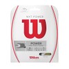 Wilson NXT Power 18 Tennis String - Set, White