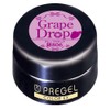 Prigel Gel Nail Color EX Grape Drop 806