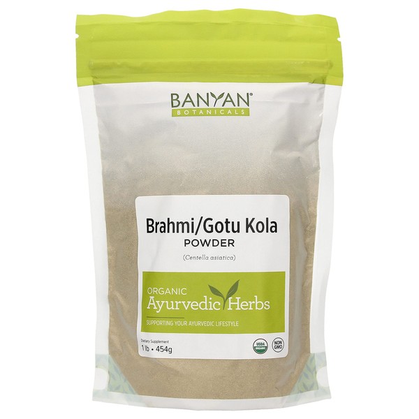 Banyan Botanicals Brahmi/Gotu Kola Powder – Organic Centella Asiatica ­­– Supports Focus, Concentration, Alertness, and a Balanced Sense of Calm* – 1 lb. – Non-GMO Sustainably Sourced Vegan