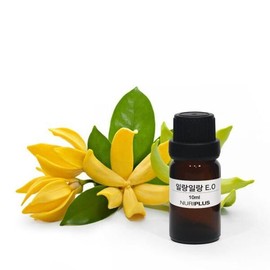 brand Ylang Ylang E.O 10ml, 30ml (essential oil) / 일랑일랑 E.O 10ml, 30ml (에센셜오일)