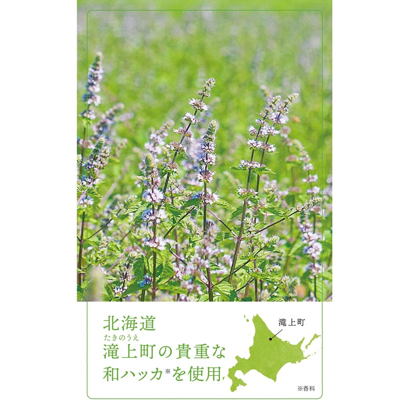 Natural Island Japanese Peppermint Refreshing UV Treatment Oil, 2.8 fl