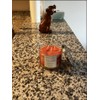 Huntington Home Soy Blend Scented Candle All Scented, 3 Wicks