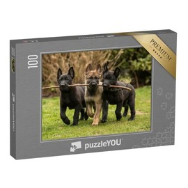 puzzleYOU: Jigsaw Puzzle 100 Piece "Three German Shepherd Puppies of the Working Line Bring a Stick" - From the Puzzle Collection Dogs, Shepherds