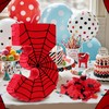 WinnerWhy Number 3 Spider Piñata Bundle with Blindfold and Bat