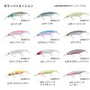 DAIWA Chivas Lure SLZ Set Upper FB 125SDR-LI LI Sardine