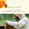 Sasayama Soap Homemade Honey Filled with Honey 3.0 oz (85
