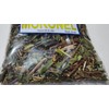 Mexican herbs Moronel Planta de La Vida Te de moronel