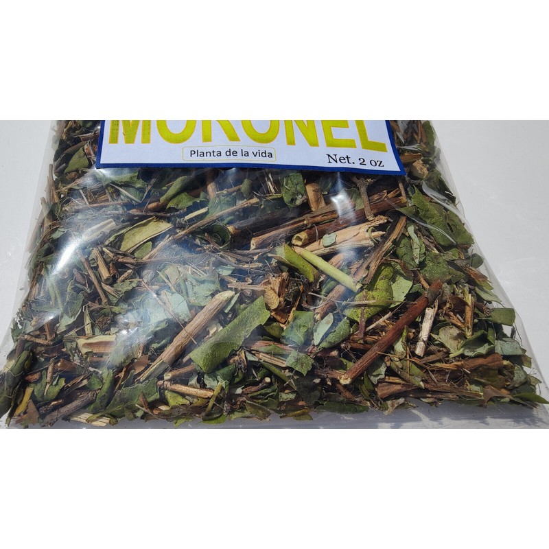 Mexican herbs Moronel Planta de La Vida Te de moronel