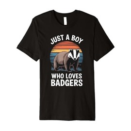 Just a Boy Who Loves Badgers Vintage Sunset Boys Kids Badger Premium T-Shirt