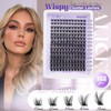 ALICE Lash Clusters Wispy Cluster Eyelash Extensions 168pcs Fluffy Individual