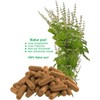 Tulsi Holy Indian Basil Ayurveda Royal Herb 360 (3 x