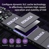 Ediloca EN600 PRO SSD PCle 3.0x4, NVMe M.2 2280, SLC