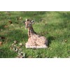 Hi-Line Gift Ltd. Giraffe Statue Decor Lying Down Garden Statue