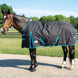 Country Pride Calgary Heavyweight Turnout Blanket (70)