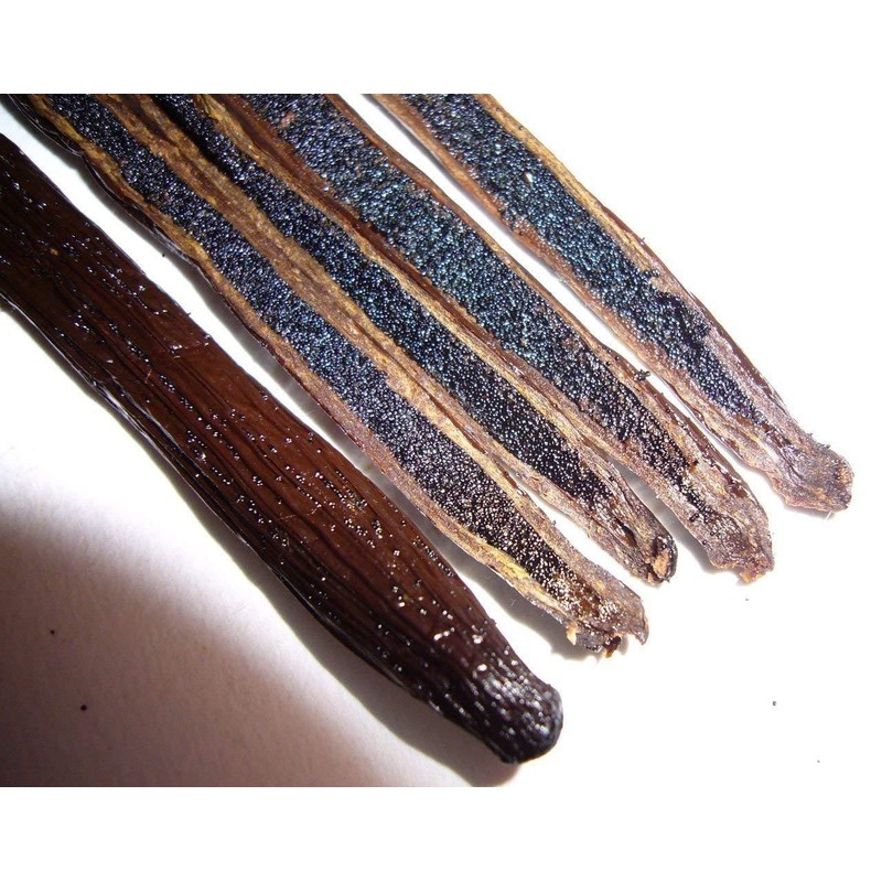 Gourmet 25 ORGANIC Madagascar Gourmet Vanilla Beans Grade A, Whole