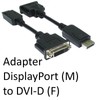 Your It Displayport To Dvi Adapter