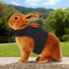 Soft Breathable Mesh Rabbit Leash Vest with Safety Buckles