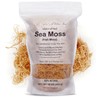 Irish Sea Moss | Seamoss | 1 Pound | Wildcrafted