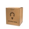 4 Pack LED Edison Bulbs, 4W Edison Light Bulbs, Antique
