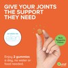 Qunol Turmeric and Ginger Gummies - Joint Support Supplement with