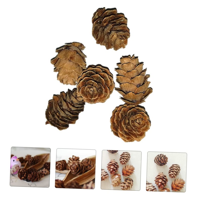CAXUSD 50 Pcs Small Artificial Pine Cones Decorative Natural Pine