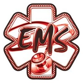 Red EMS Stethoscope Star of Life Decal - 4" h - REFLECTIVE