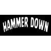 Unbranded "HAMMER DOWN" CB / TRUCKER VINYL DECAL