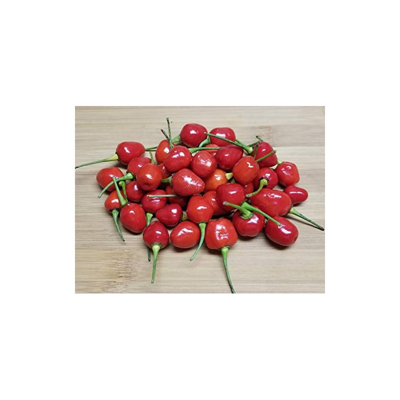 Wiri Wiri Chile Seeds 10+ Seeds