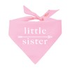 Little Sister Arrow or Little Brother Arrow Gender Reveal Baby