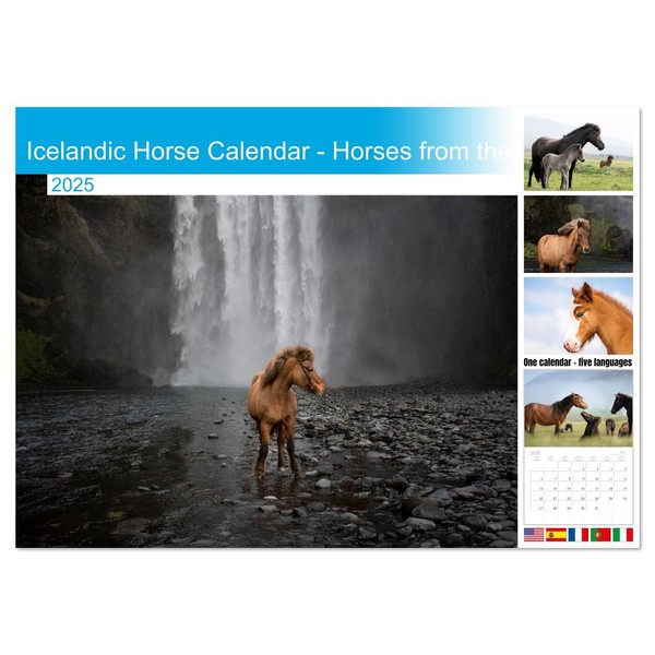 Icelandic Horse Calendar - Horses from the Island of Fire
