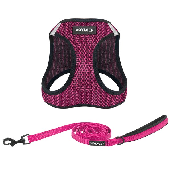 Voyager Step-in Air All Weather Mesh Harness and Reflective Dog