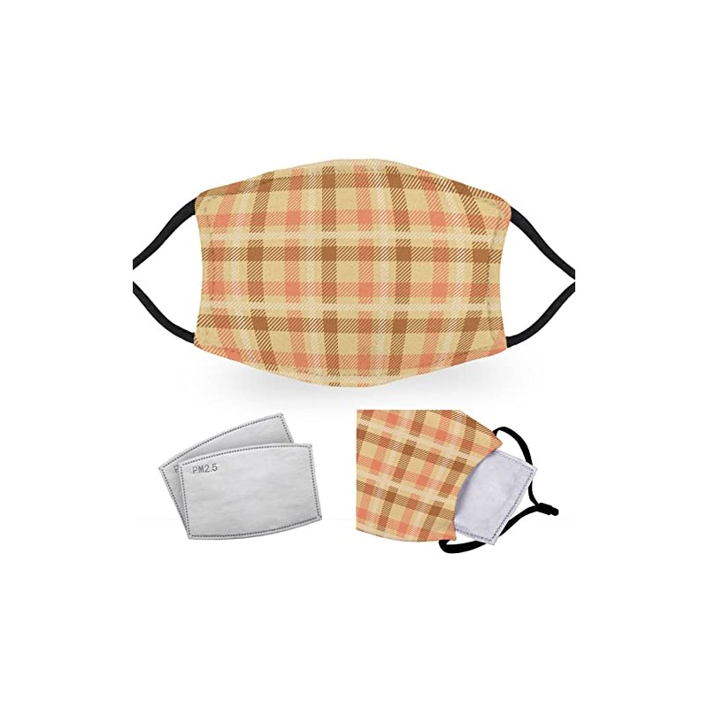 Beige Tartan - Reusable Adult Face Masks - 2 Filters