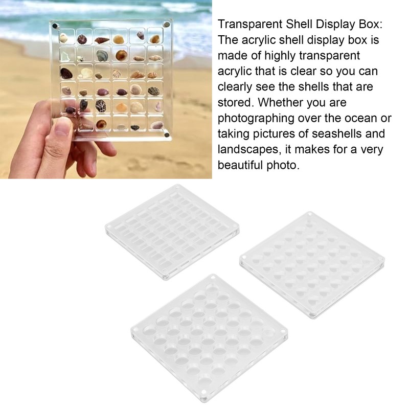3pcs 36 Grids Acrylic Magnetic Shell Display Case Decorative Shell