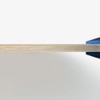 Butterfly Table Tennis Racket Falcima FL Shake Racket Flare Balance