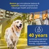 Zanipro Dog Diarrhea Treatment, Prebiotics & Probiotics for Dogs, Advanced