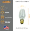 Sunlite 01280 7C7 Incandescent Bulb, 7 Watt, Candelabra E12 Base,