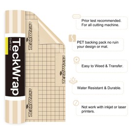 TECKWRAP Permanent Adhesive Vinyl 12" x 10ft, Glossy Beige Cream