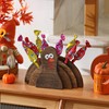 WODOHOLO Thanksgiving Decor - Wooden Turkey Lollipop Holder and Cake