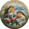 Abillyn Embroidery Cross Stitch Kits Birds Winter Landscape Stamped with