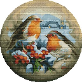 Abillyn Embroidery Cross Stitch Kits Birds Winter Landscape Stamped with Printed Pattern Starter Kit (Bird)
