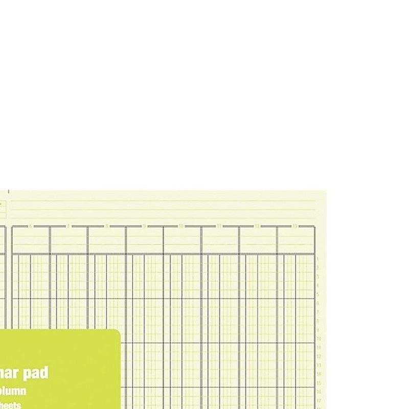 Staples 217893 Columnar Pads 13 Columns 11-Inch x 16 5/16-Inch