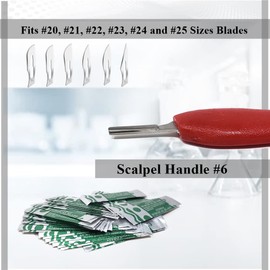 Scalpel Handle #6 Stainless Steel Tip, Blade Holder with Thick Plastic Handle Fits Blades No 20-25 for Precise Cutting, Student Educational-Use Biology Labs, DIY Crafts, Model Making, Repairs (RED)