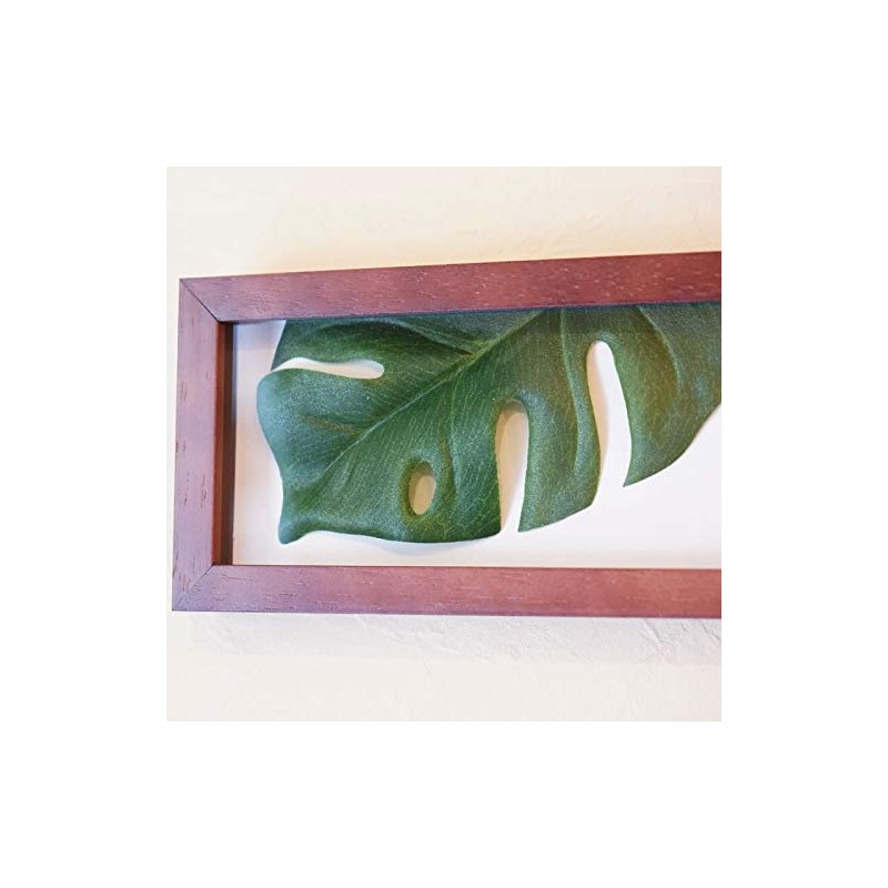Leaf Panel Monstera II Plaque Horizontal (Brown) Leaf Frame Panel