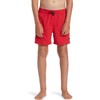 Quiksilver Boys' Everyday Solid Volley YTH 14 Jam/Volley (Pack of